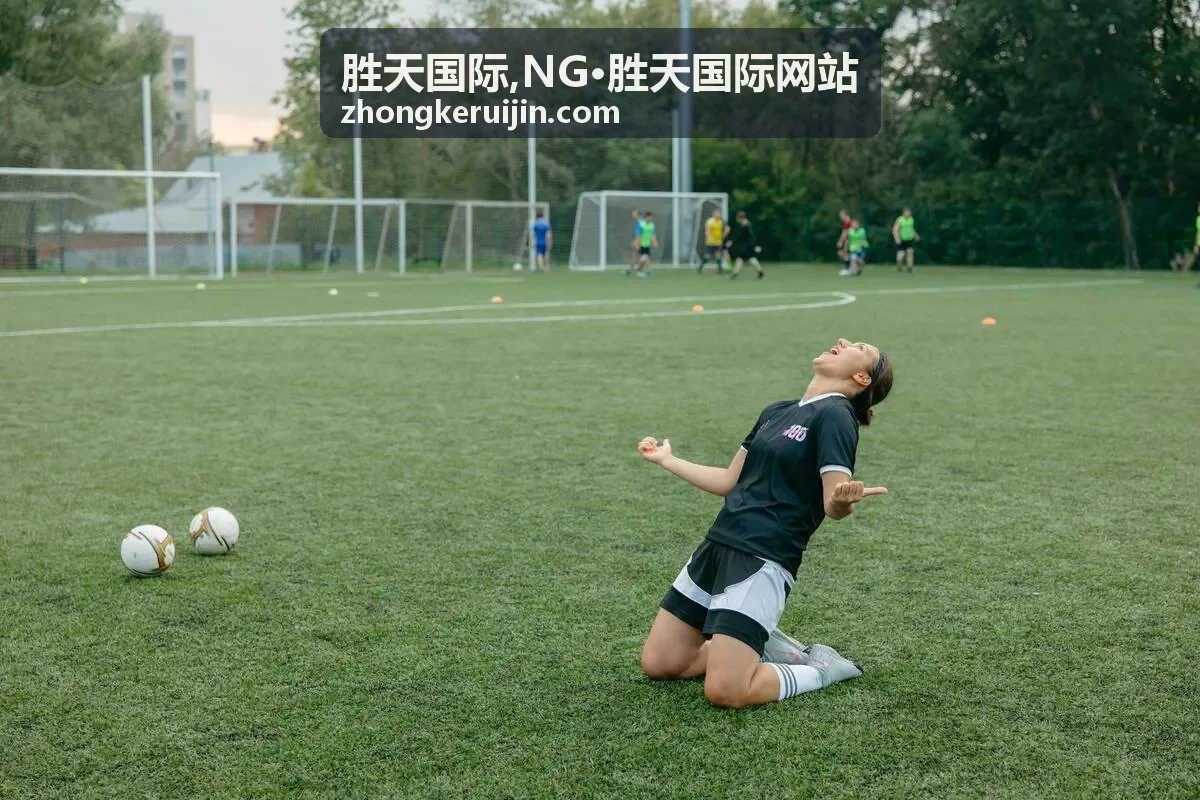 胜天国际,NG·胜天国际网站精选内容封面图