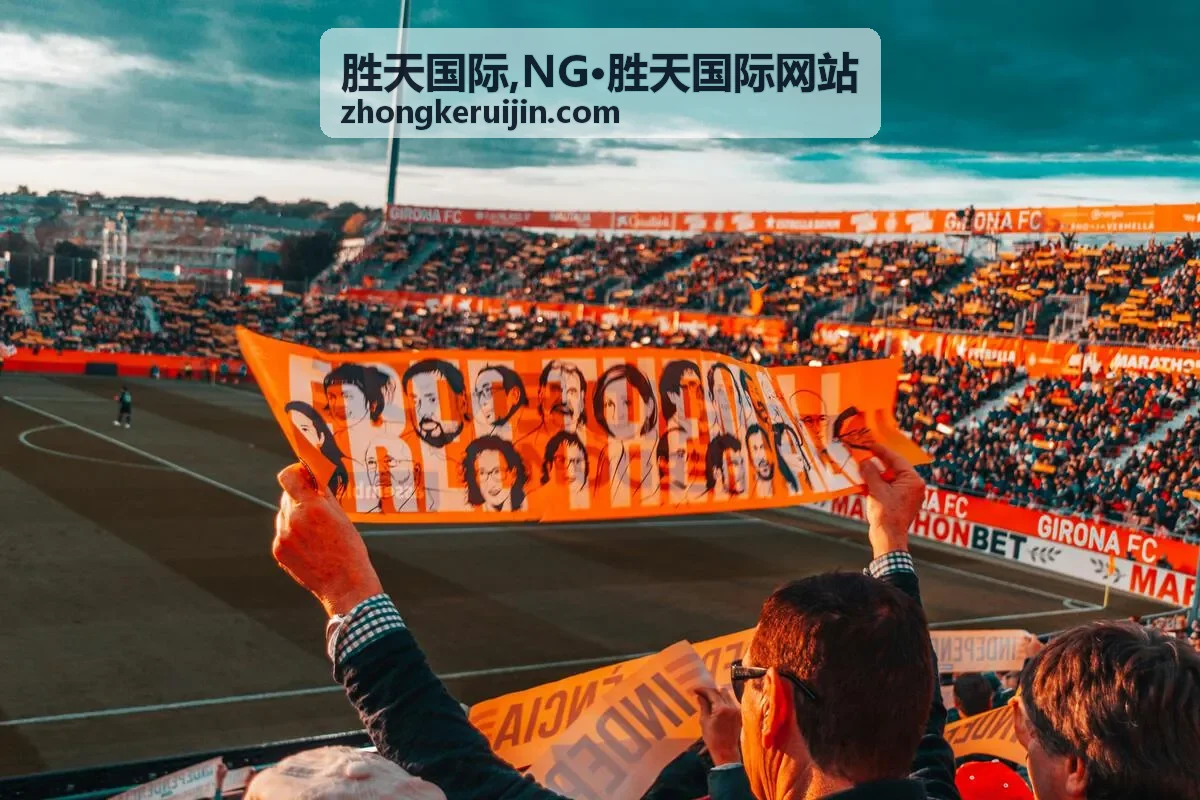 胜天国际,NG·胜天国际网站页面导览封面图